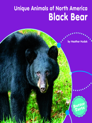 cover image of Black Bear